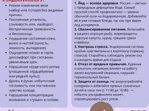 Щитовидная железа – регулятор здоровья и гармонии организма
